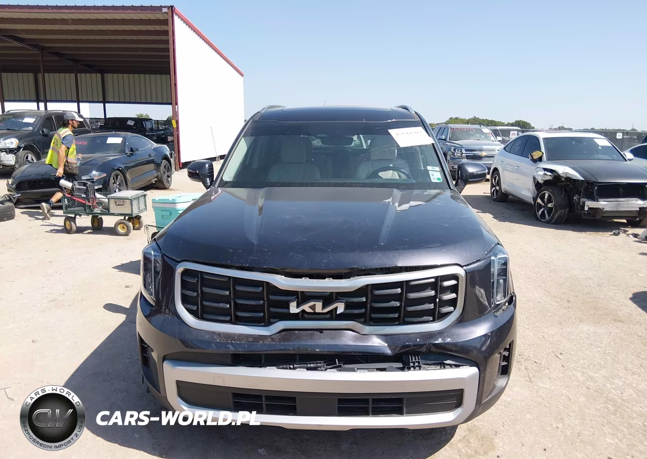 2025 Kia Telluride S VIN:5XYP64GC7SG685082 - 11