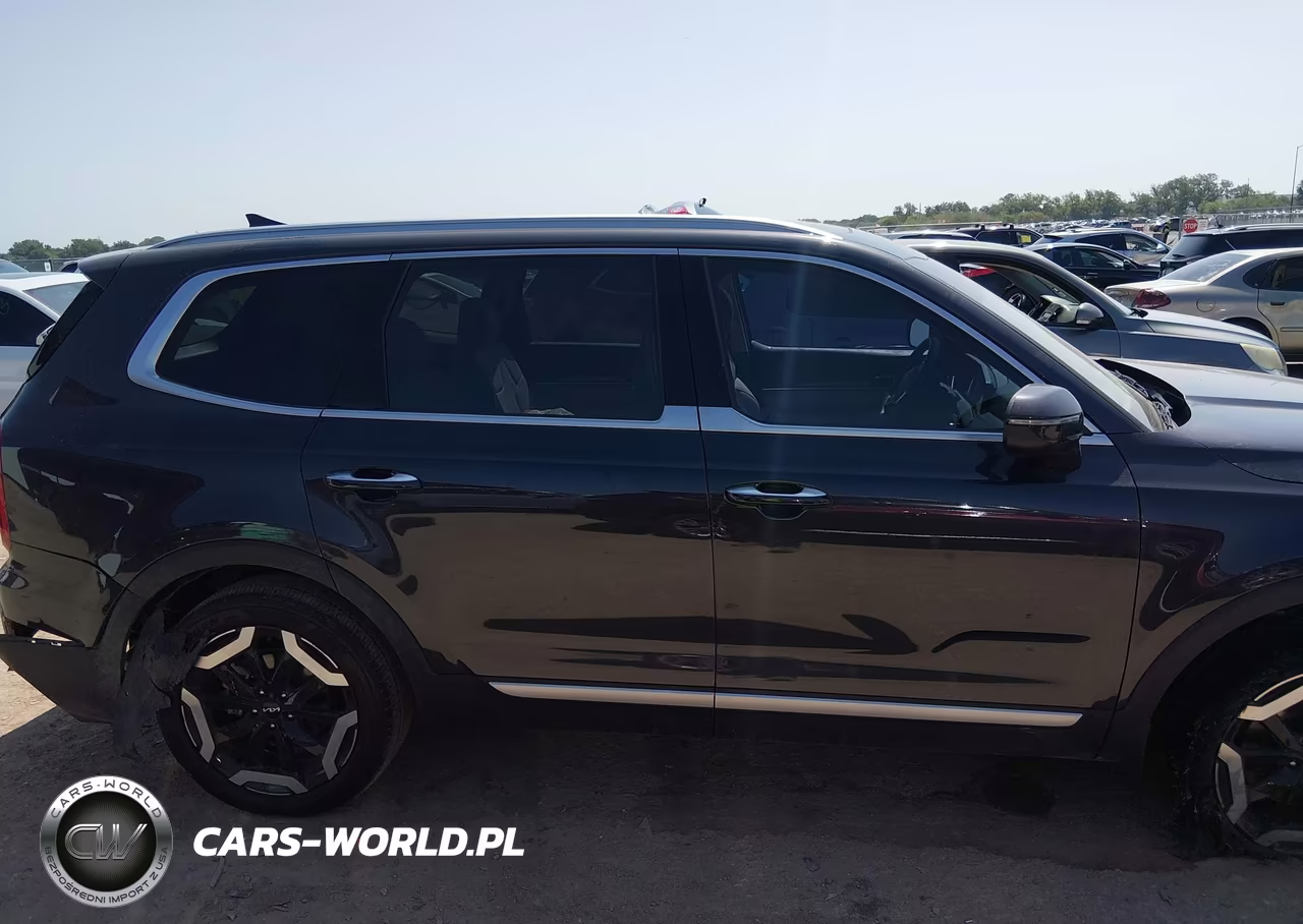 2025 Kia Telluride S VIN:5XYP64GC7SG685082 - 12
