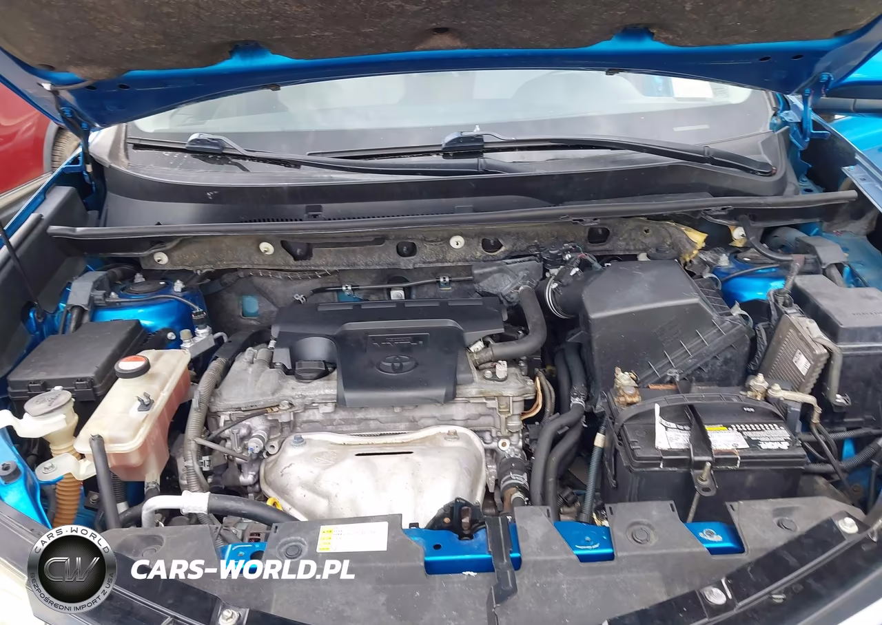 2016 Toyota Rav4 Xle VIN:JTMWFREVXGJ060650 - 10