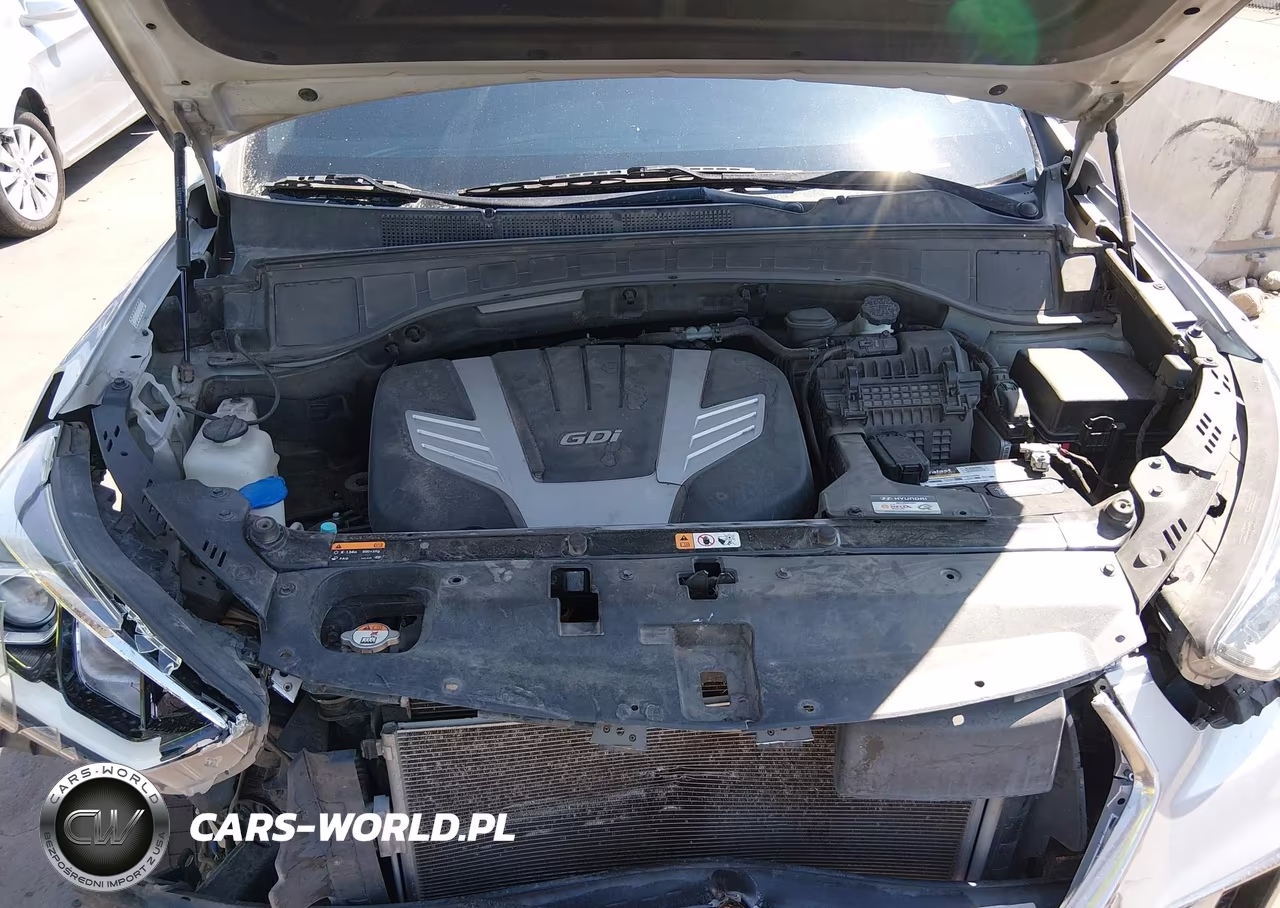 2017 Hyundai Santa Fe Limited Ultimate VIN:KM8SR4HF7HU215471 - 10
