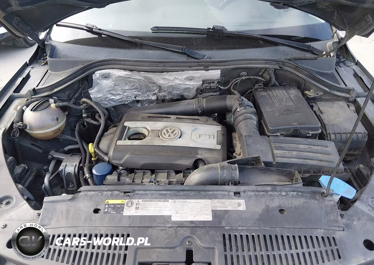 2016 Volkswagen Tiguan S VIN:WVGAV7AX9GW004819 - 10