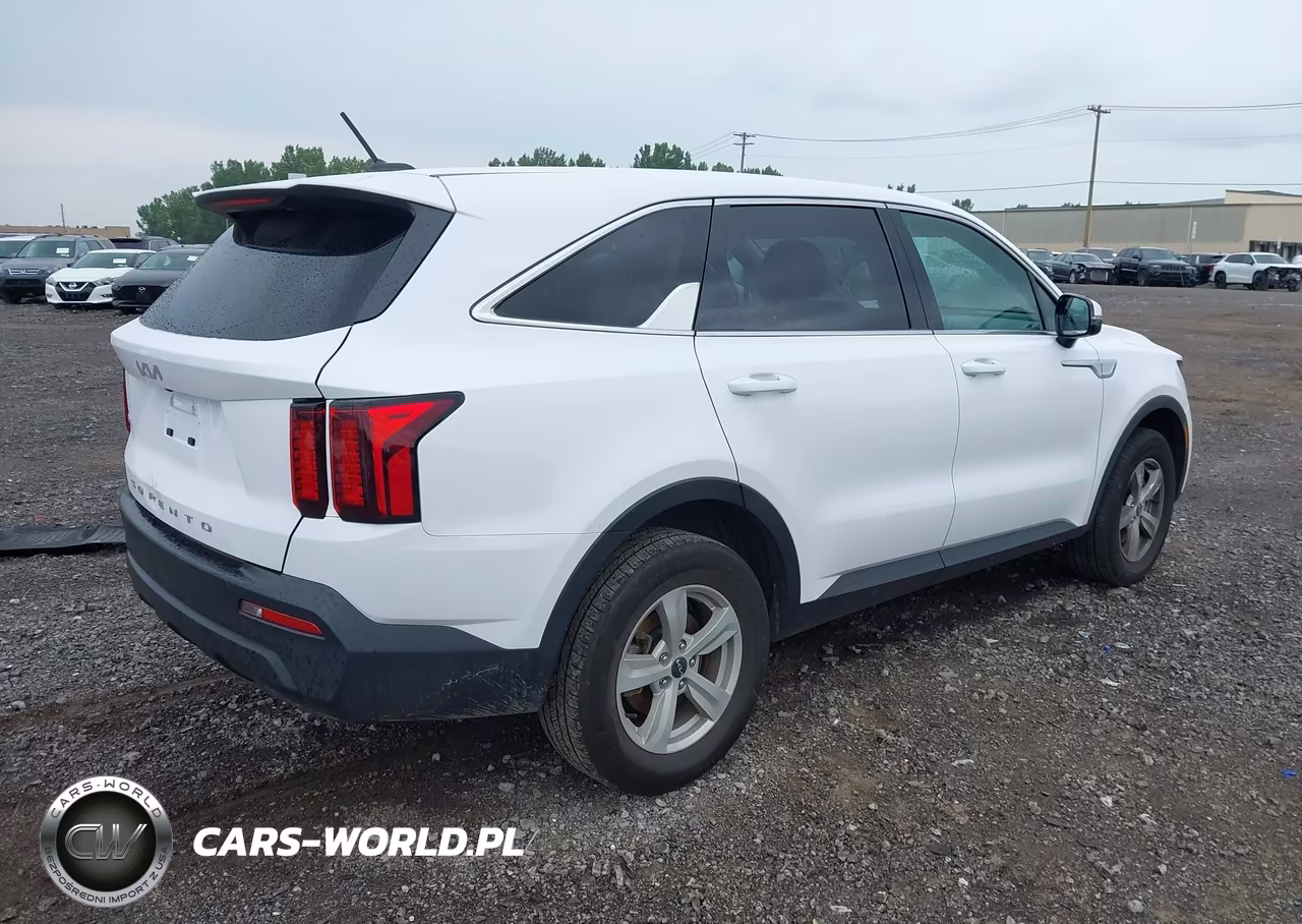 2022 Kia Sorento Lx VIN:5XYRGDLC1NG151446 - 4