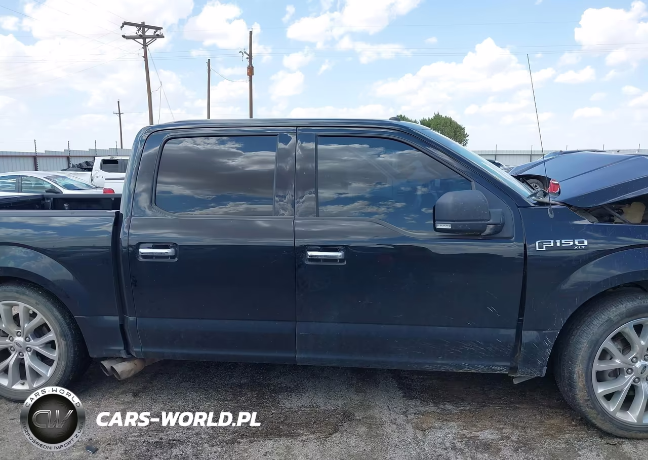 2018 Ford F150 Supercrew VIN:1FTEW1E5XJFE02119 - 13