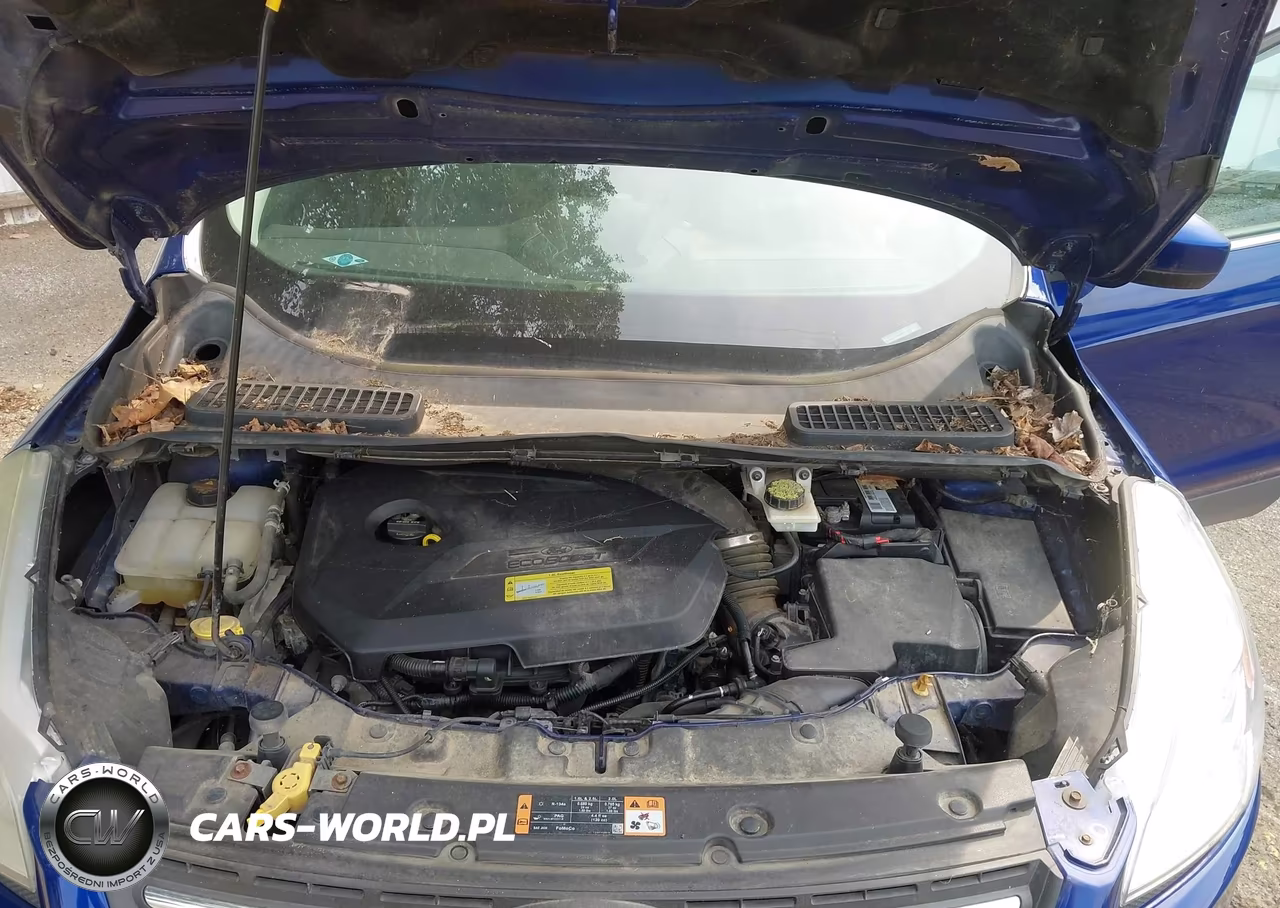 2014 Ford Escape Se VIN:1FMCU0GX9EUC46514 - 10