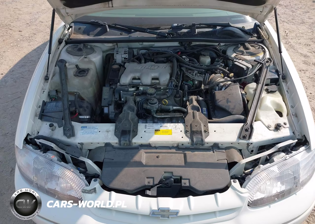 2001 Chevrolet Lumina VIN:2G1WL52J711294368 - 10