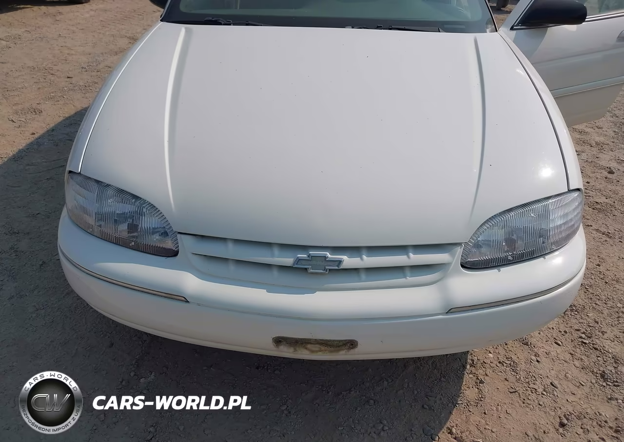 2001 Chevrolet Lumina VIN:2G1WL52J711294368 - 6