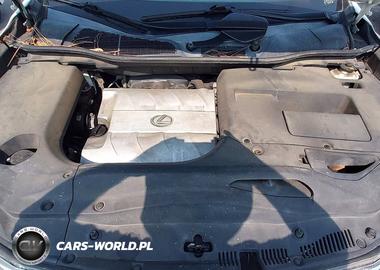2010 Lexus Rx 350 VIN:2T2BK1BA0AC003479 - 10