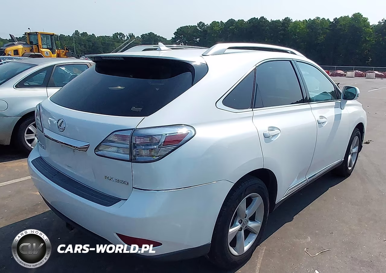 2010 Lexus Rx 350 VIN:2T2BK1BA0AC003479 - 4