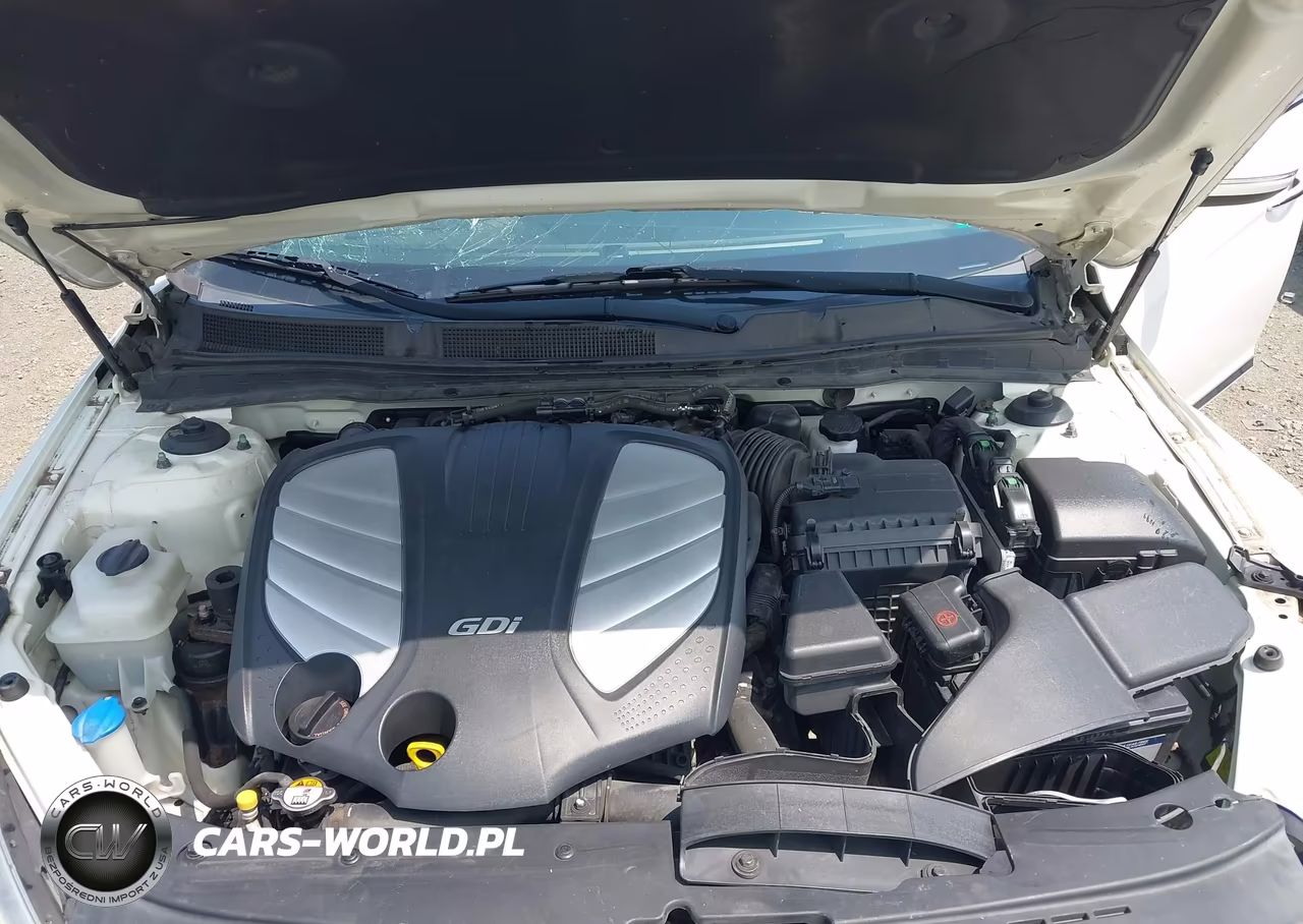 2014 Kia Cadenza Premium VIN:KNALN4D73E5153220 - 10