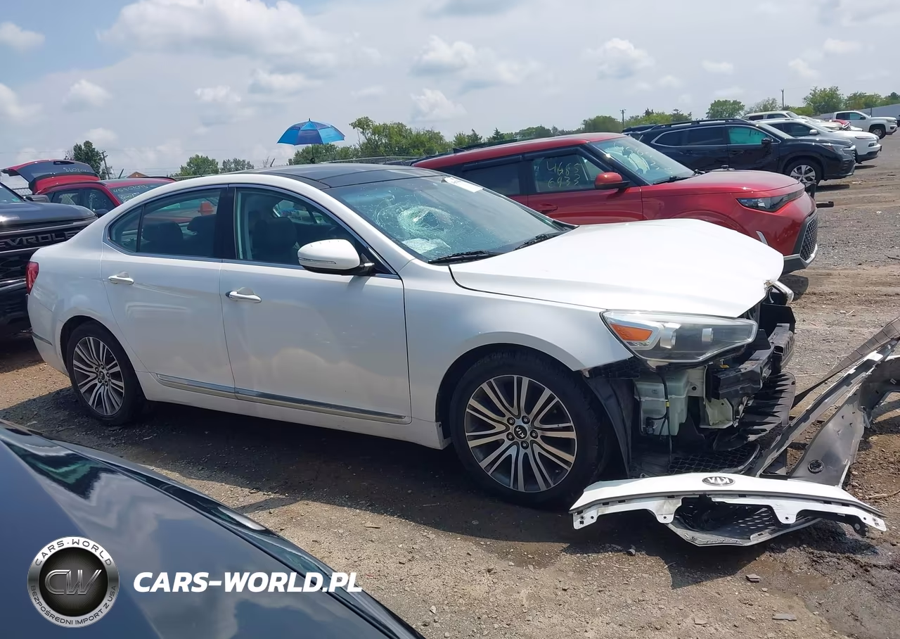 2014 Kia Cadenza Premium VIN:KNALN4D73E5153220 - 13