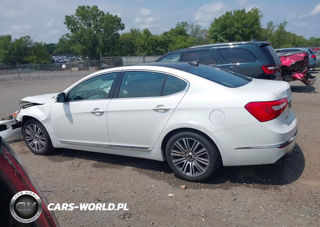 2014 Kia Cadenza Premium VIN:KNALN4D73E5153220 - 14