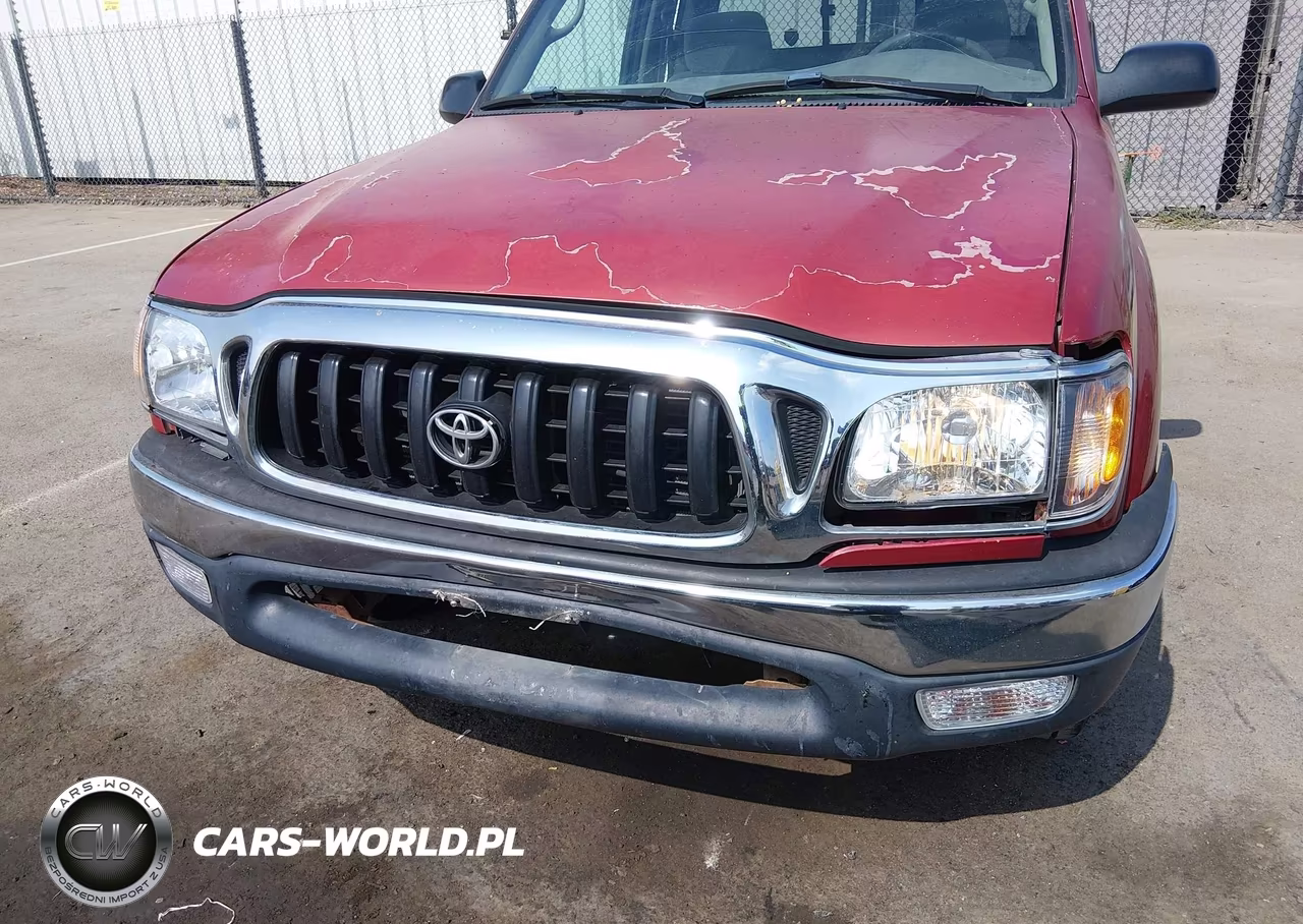 2004 Toyota Tacoma VIN:5TEVL52N44Z333567 - 19