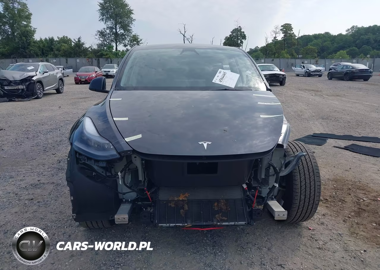 2025 Tesla Model Y Long Range Dual Motor Rear-Wheel Drive VIN:7SAYGDED1SF269455 - 12