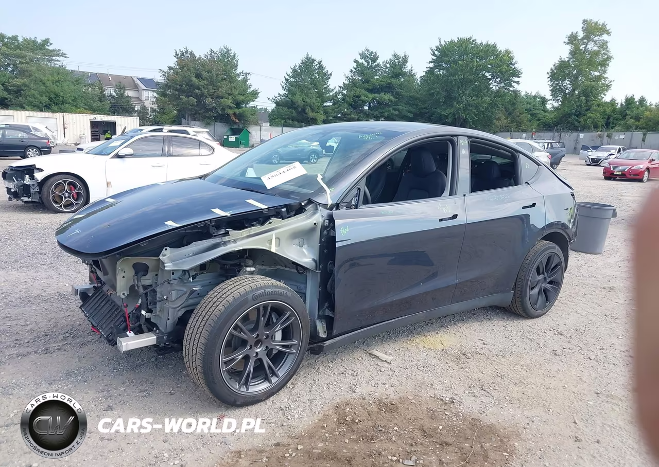 2025 Tesla Model Y Long Range Dual Motor Rear-Wheel Drive VIN:7SAYGDED1SF269455 - 2