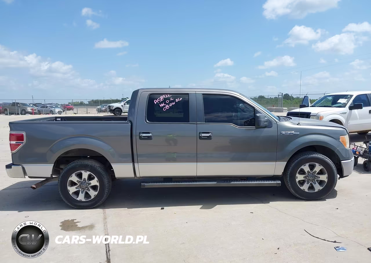 2010 Ford F-150 Fx2 Sport-Xl-Xlt VIN:1FTEW1C84AKA58422 - 13