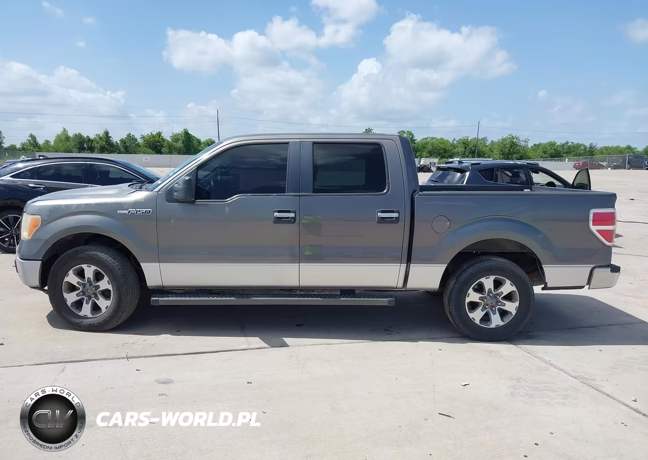 2010 Ford F-150 Fx2 Sport-Xl-Xlt VIN:1FTEW1C84AKA58422 - 14