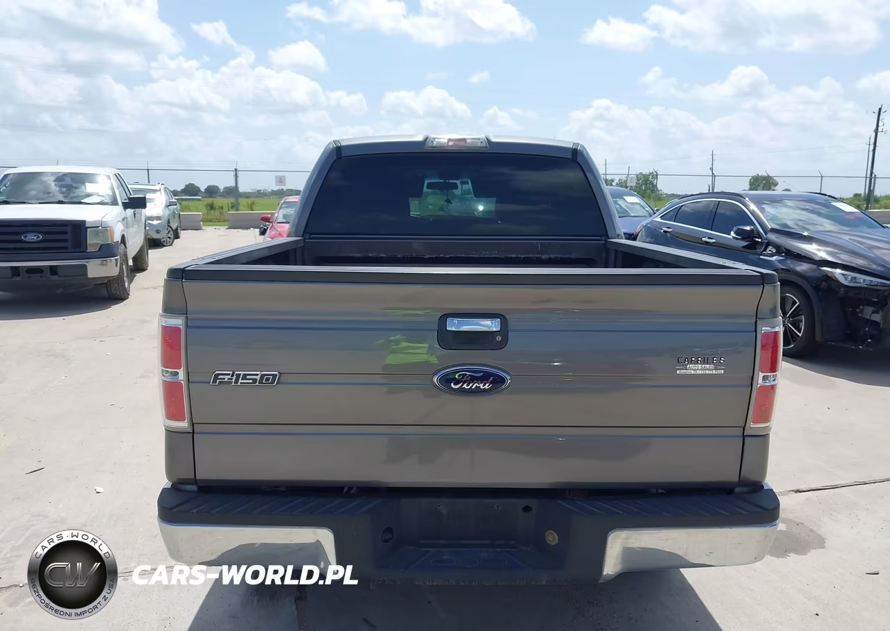 2010 Ford F-150 Fx2 Sport-Xl-Xlt VIN:1FTEW1C84AKA58422 - 16