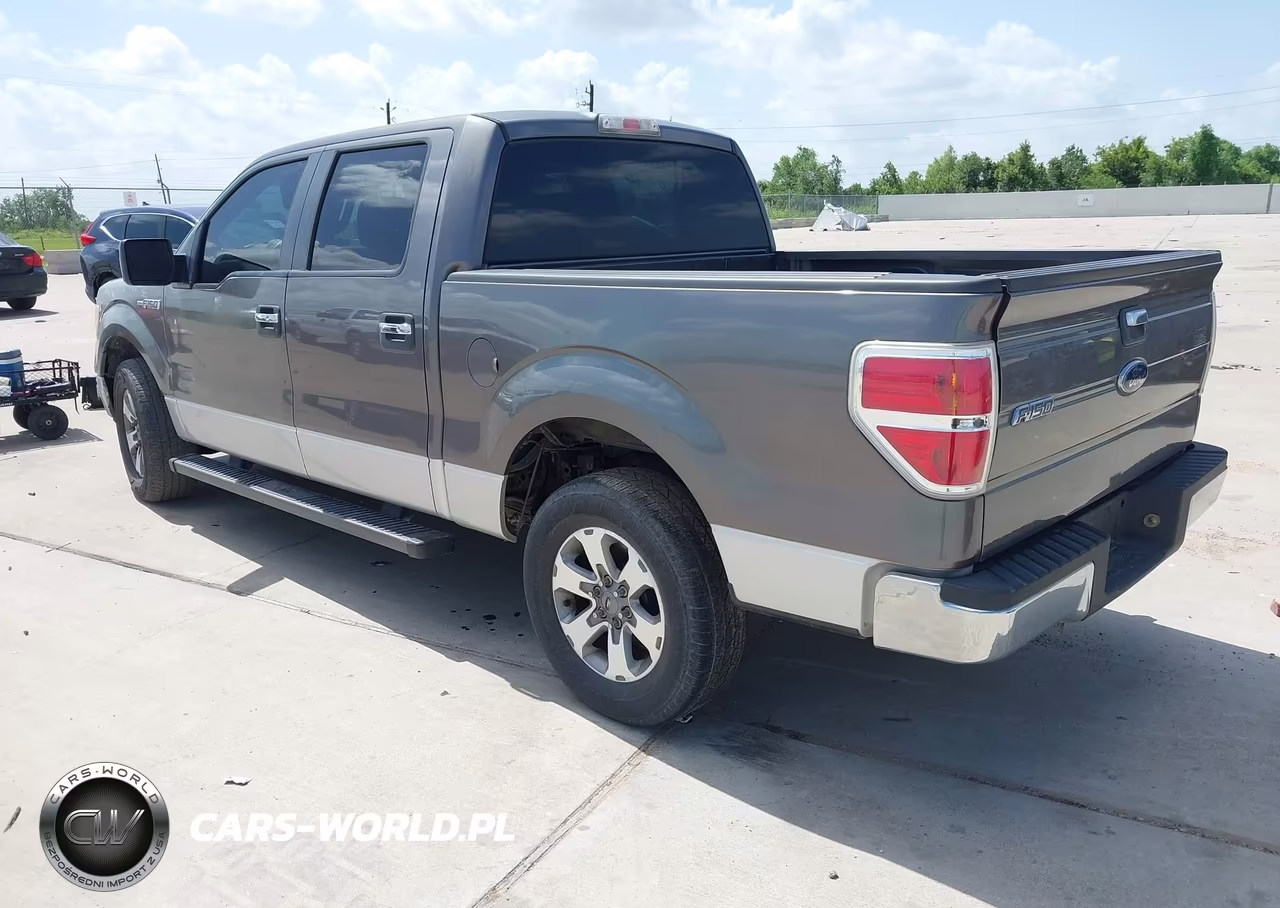 2010 Ford F-150 Fx2 Sport-Xl-Xlt VIN:1FTEW1C84AKA58422 - 3