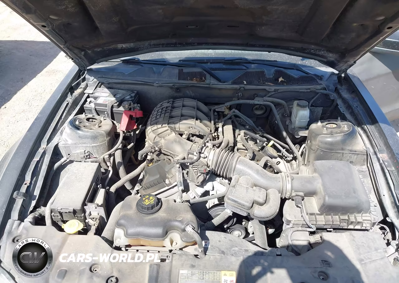 2014 Ford Mustang V6 VIN:1ZVBP8AMXE5320518 - 10