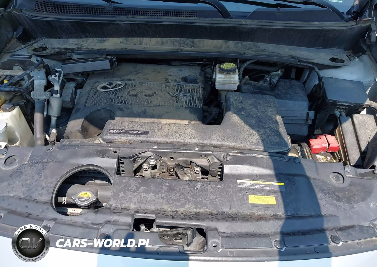 2016 Infiniti Qx60 VIN:5N1AL0MM9GC511803 - 10