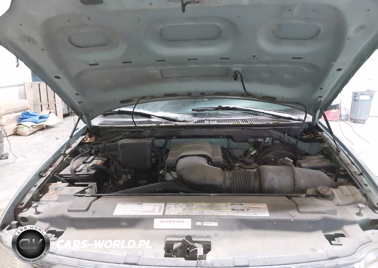 1998 Ford Expedition Eddie Bauer-Xlt VIN:1FMRU18WXWLC24566 - 10