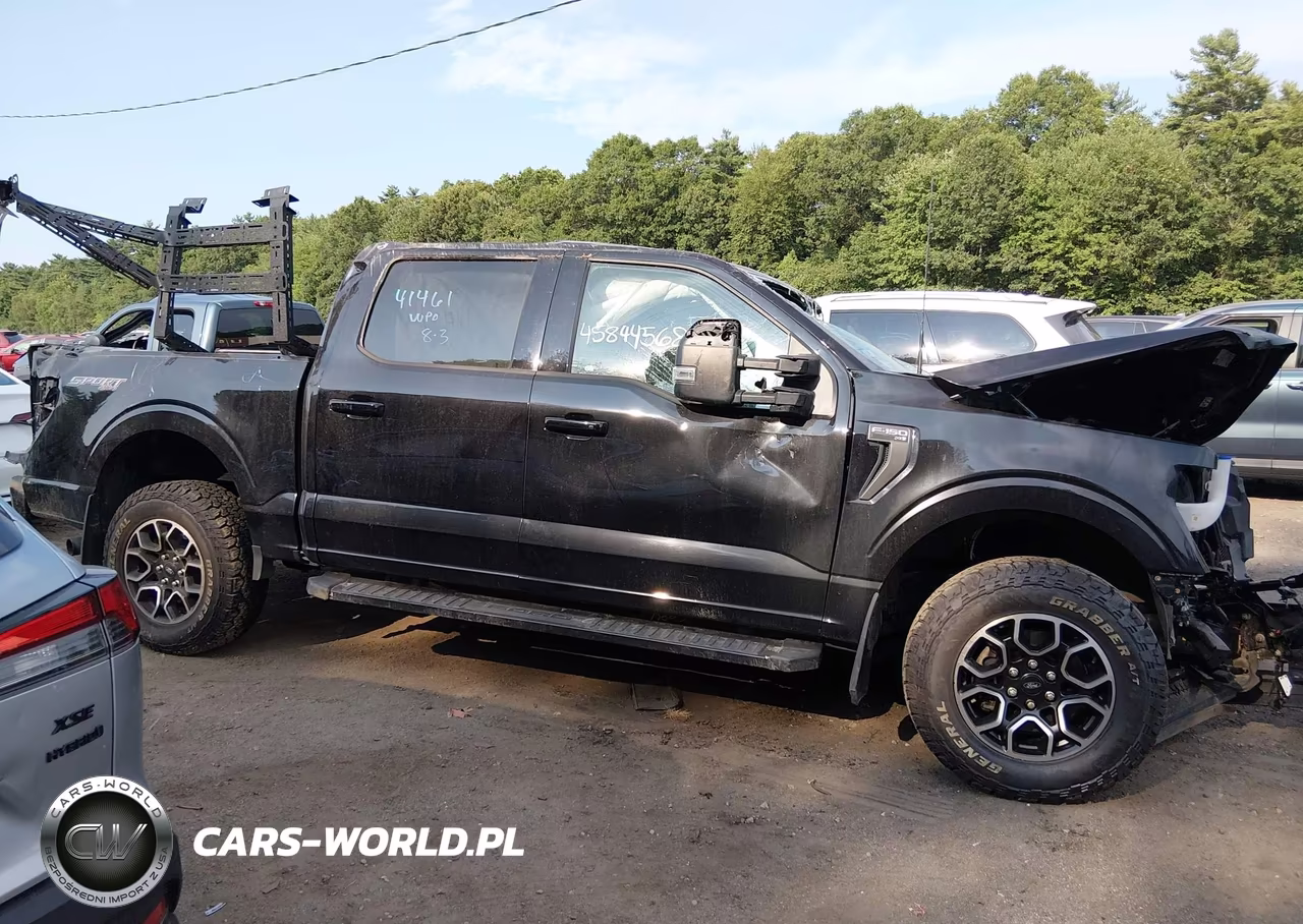 2021 Ford F-150 Xlt VIN:1FTEW1EP0MKE60429 - 13