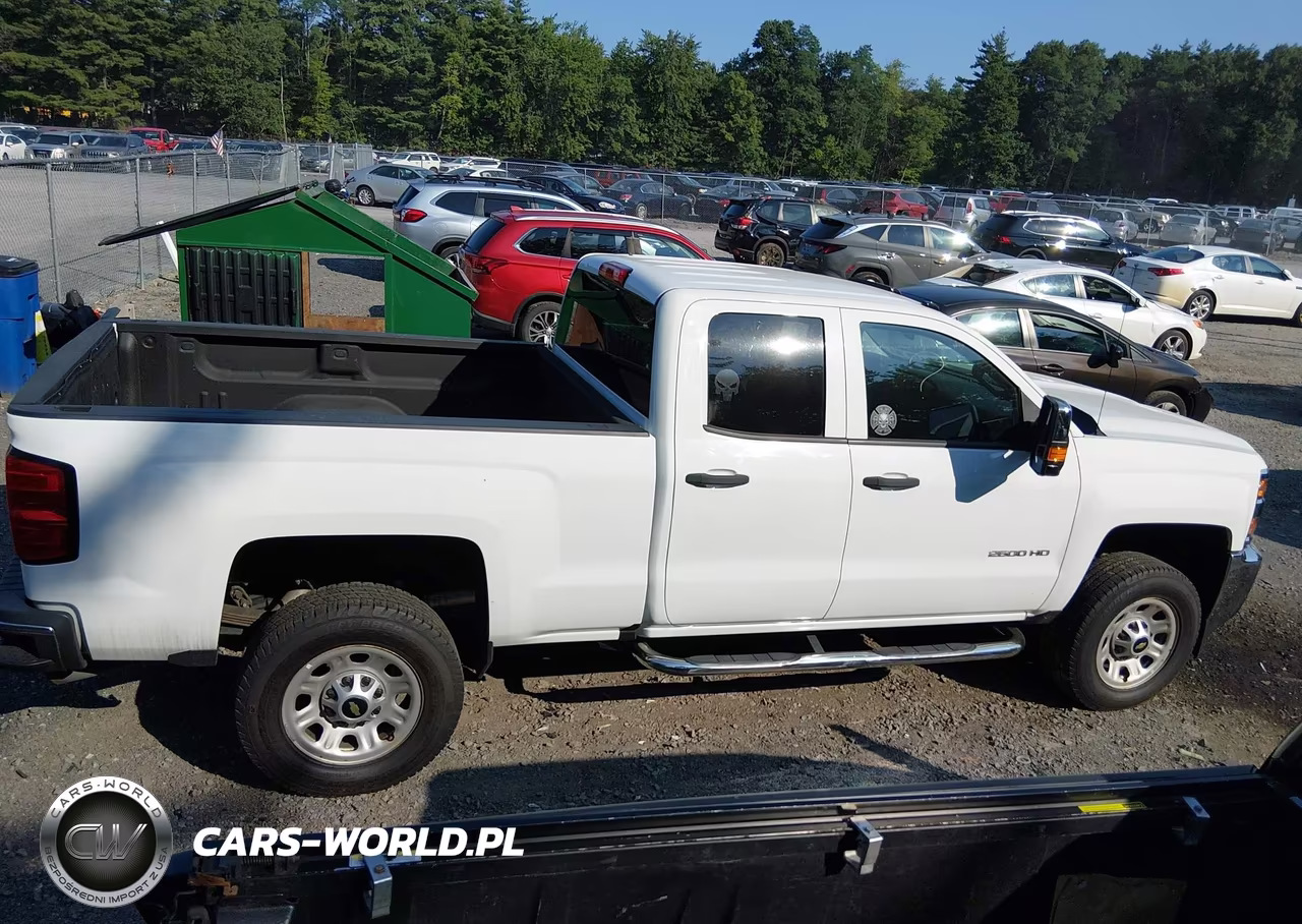 2019 Chevrolet Silverado 2500Hd Wt VIN:2GC2KREG1K1181968 - 13