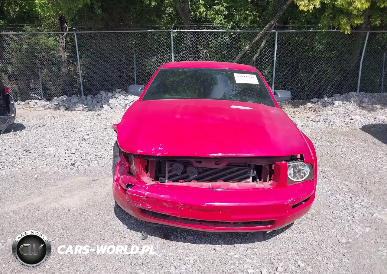 2005 Ford Mustang V6 Deluxe-V6 Premium VIN:1ZVFT80NX55114316 - 12
