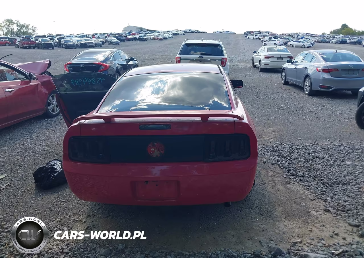 2005 Ford Mustang V6 Deluxe-V6 Premium VIN:1ZVFT80NX55114316 - 16