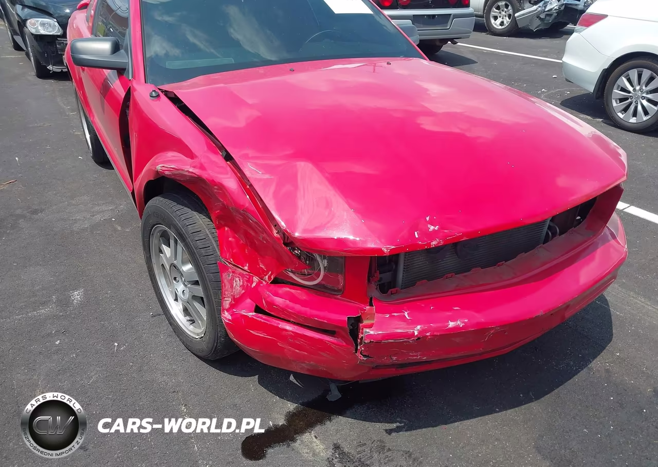 2005 Ford Mustang V6 Deluxe-V6 Premium VIN:1ZVFT80NX55114316 - 17