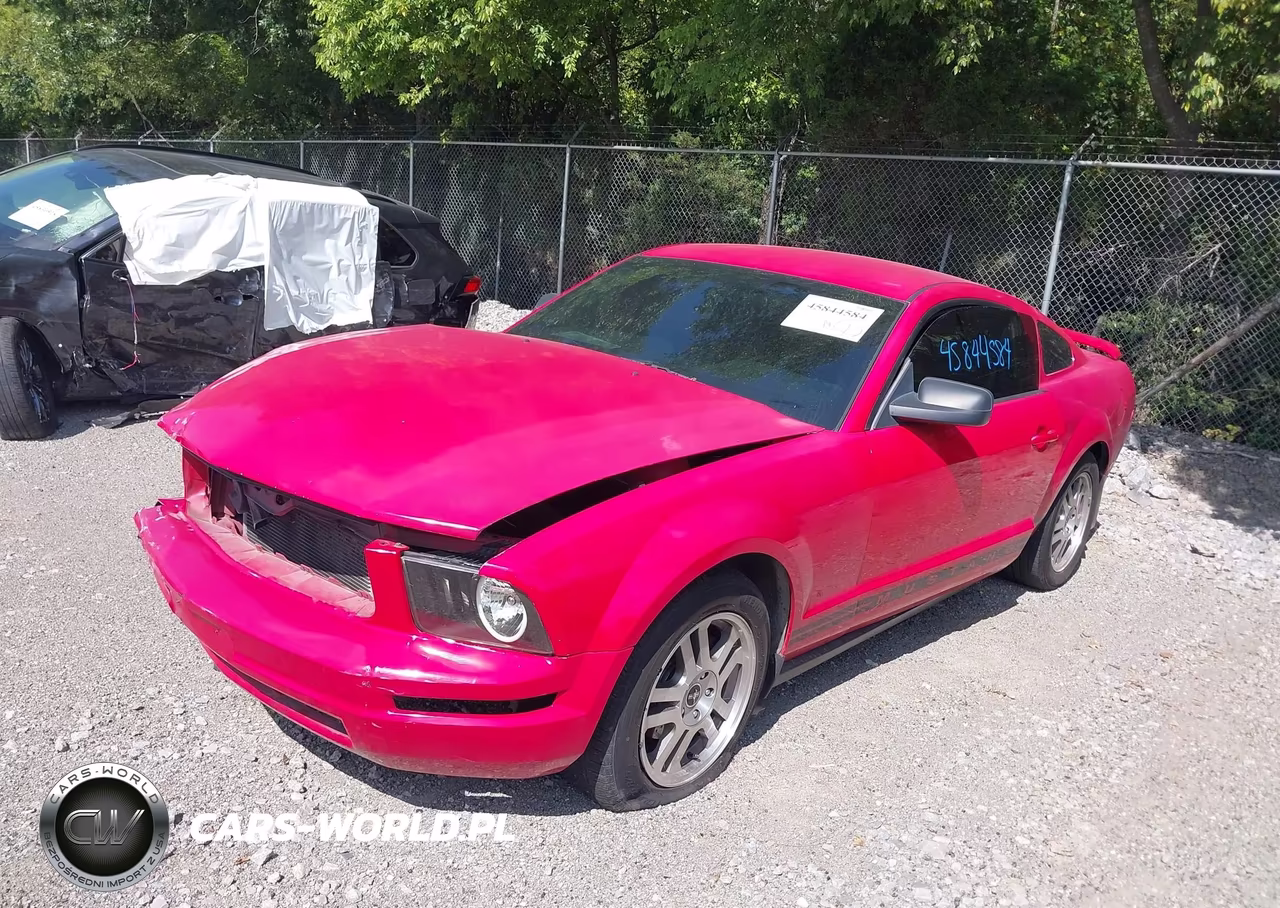 2005 Ford Mustang V6 Deluxe-V6 Premium VIN:1ZVFT80NX55114316 - 2