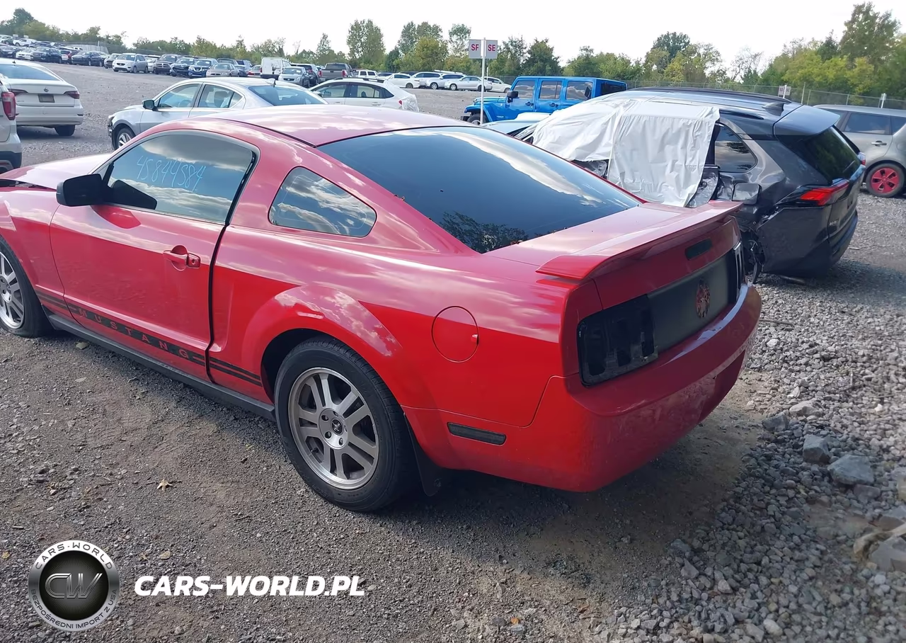 2005 Ford Mustang V6 Deluxe-V6 Premium VIN:1ZVFT80NX55114316 - 3