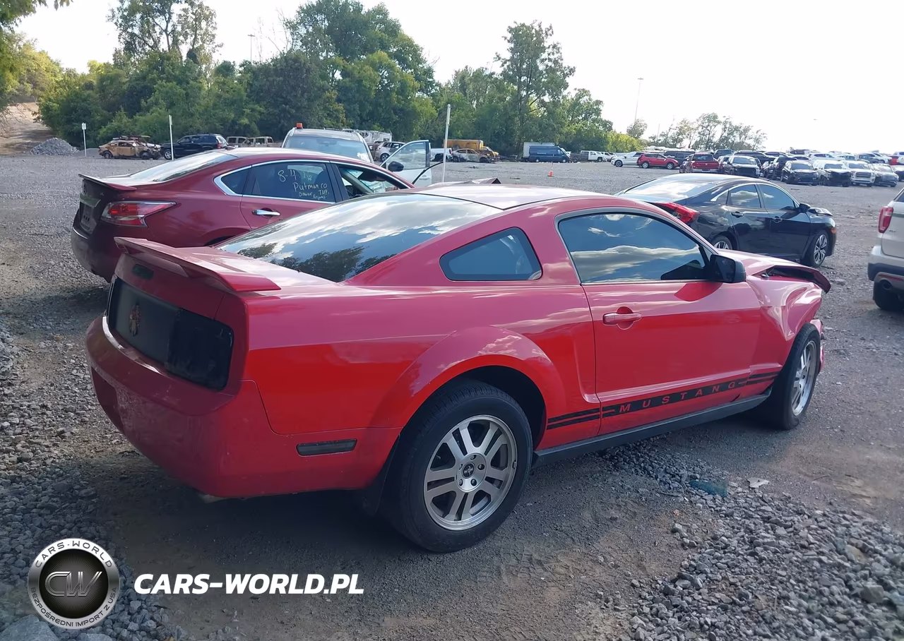 2005 Ford Mustang V6 Deluxe-V6 Premium VIN:1ZVFT80NX55114316 - 4