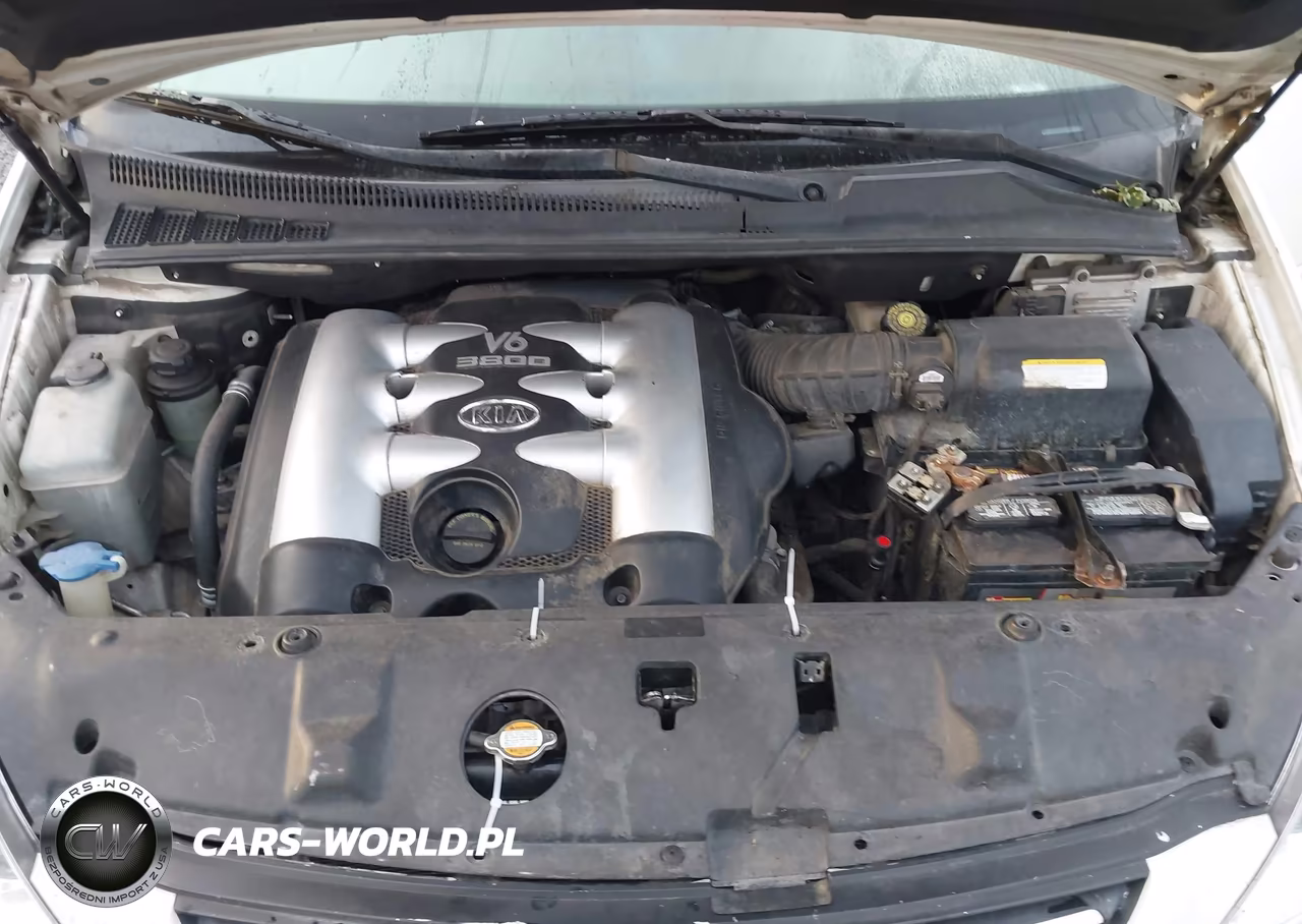 2006 Kia Sedona Ex-Lx VIN:KNDMB233566066532 - 10