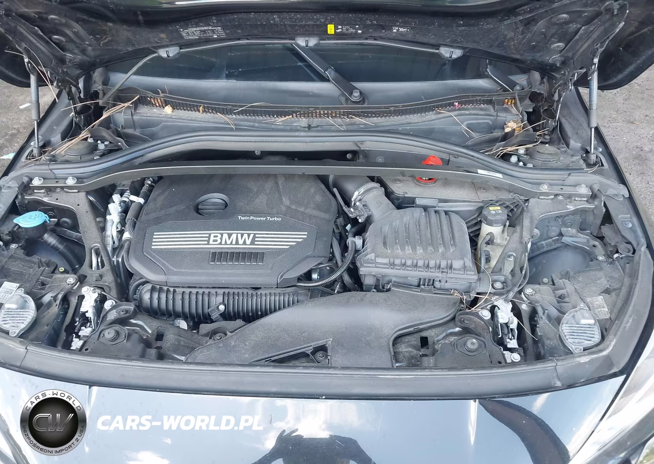 2021 BMW 228I Gran Coupe xDrive VIN:WBA73AK02M7H52918 - 10
