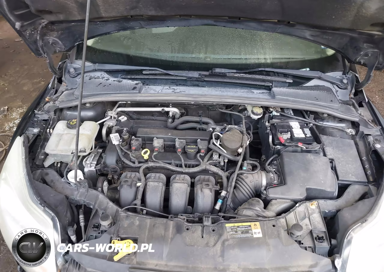 2014 Ford Focus Se VIN:1FADP3K20EL244658 - 10
