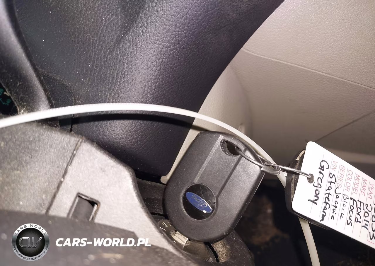 2014 Ford Focus Se VIN:1FADP3K20EL244658 - 11