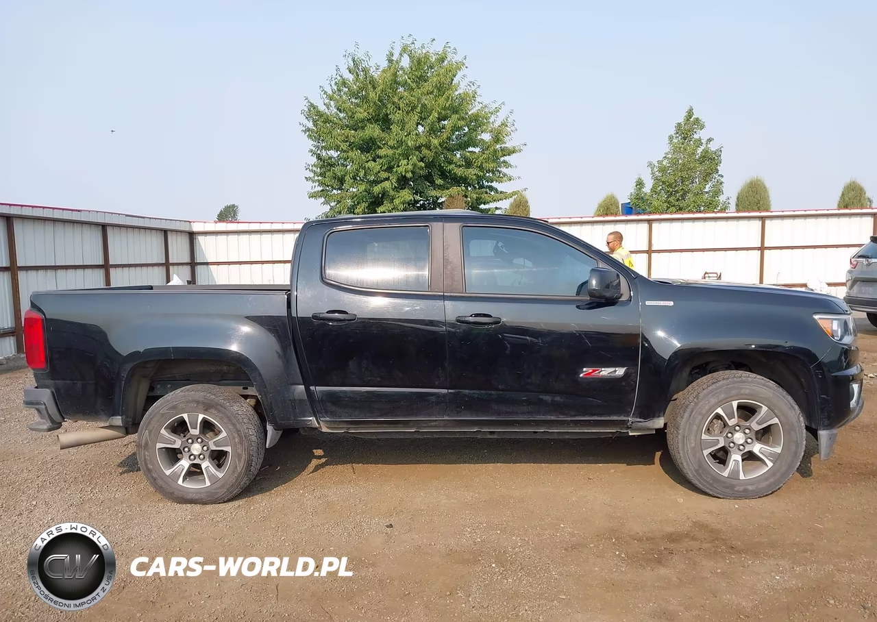 2017 Chevrolet Colorado 4Wd Z71 VIN:1GCPTDE13H1140869 - 13