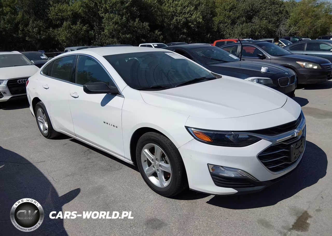 2019 Chevrolet Malibu 1Ls