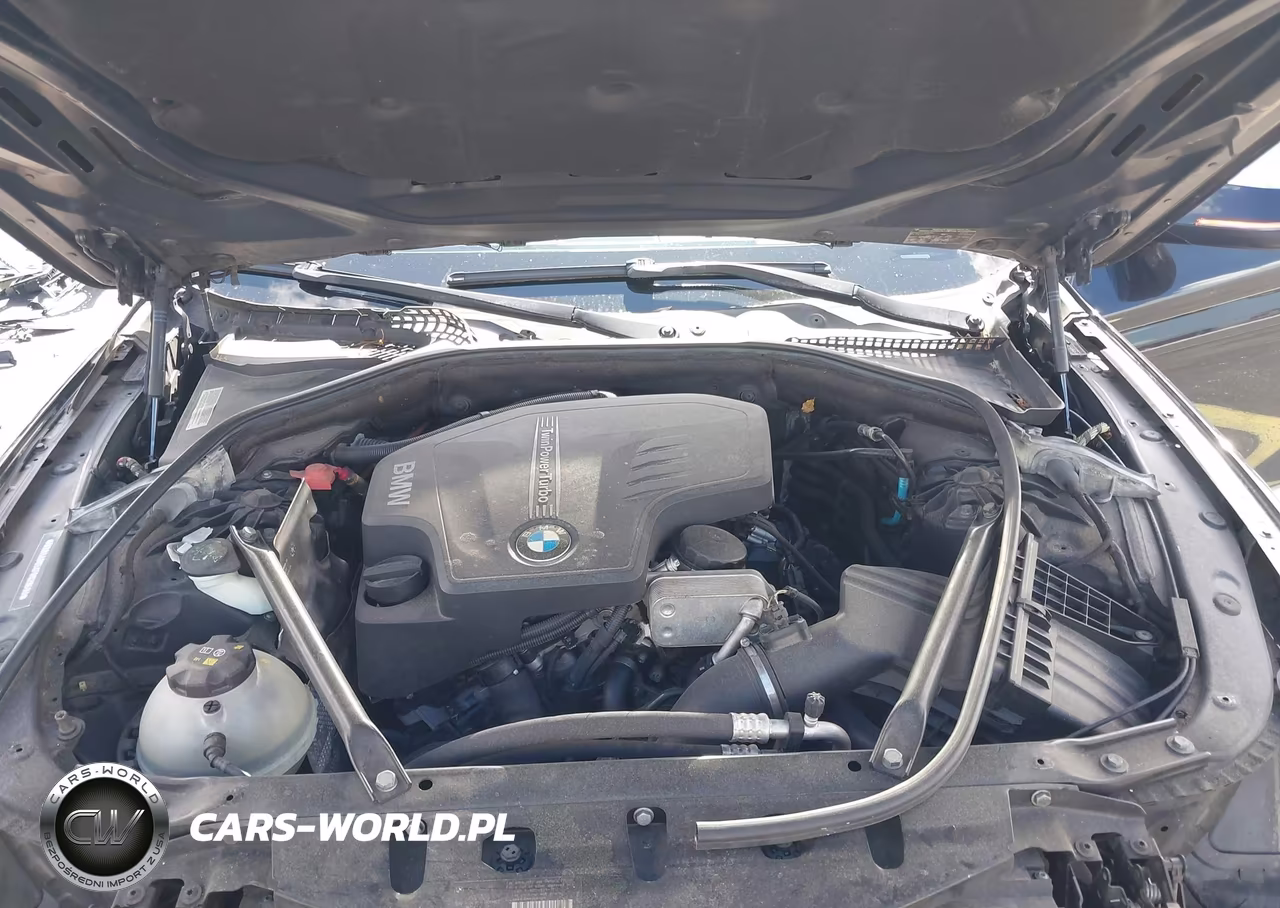 2015 BMW 528I xDrive VIN:WBA5A7C54FD620593 - 10