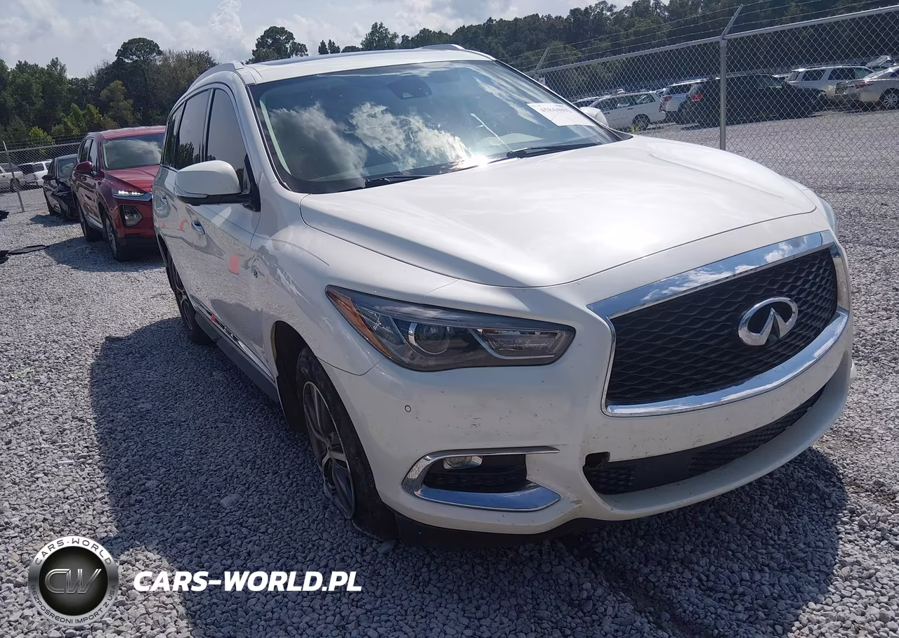 2019 Infiniti Qx60 Luxe VIN:5N1DL0MN5KC563833 - 1