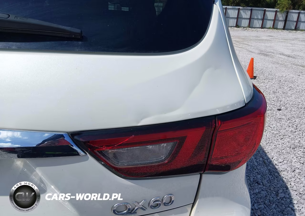 2019 Infiniti Qx60 Luxe VIN:5N1DL0MN5KC563833 - 6