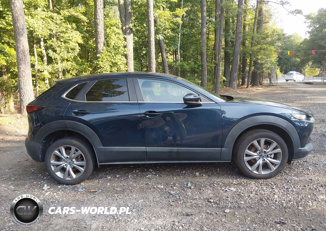 2021 Mazda Cx-30 Preferred VIN:3MVDMBCL0MM269477 - 13