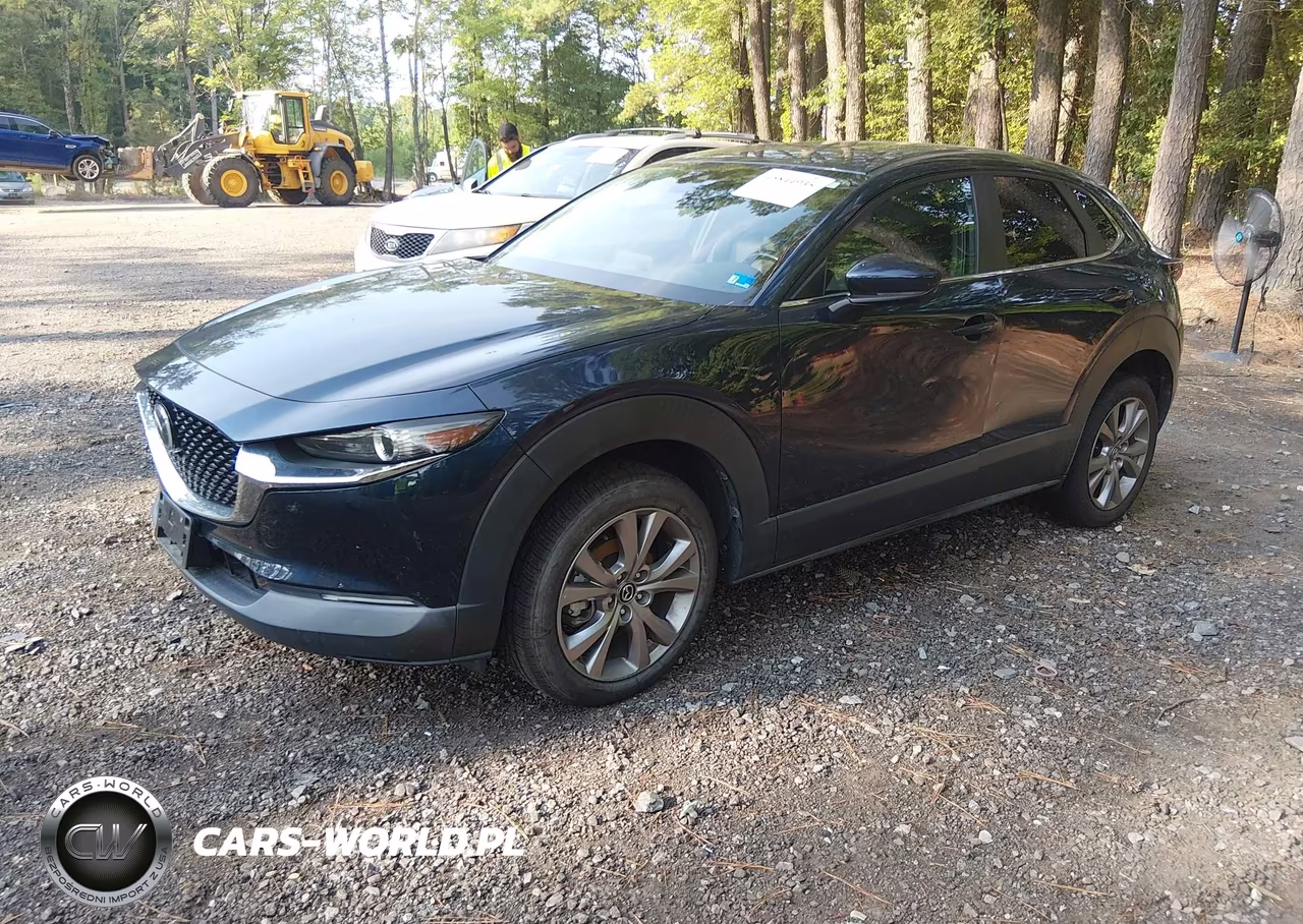 2021 Mazda Cx-30 Preferred VIN:3MVDMBCL0MM269477 - 2