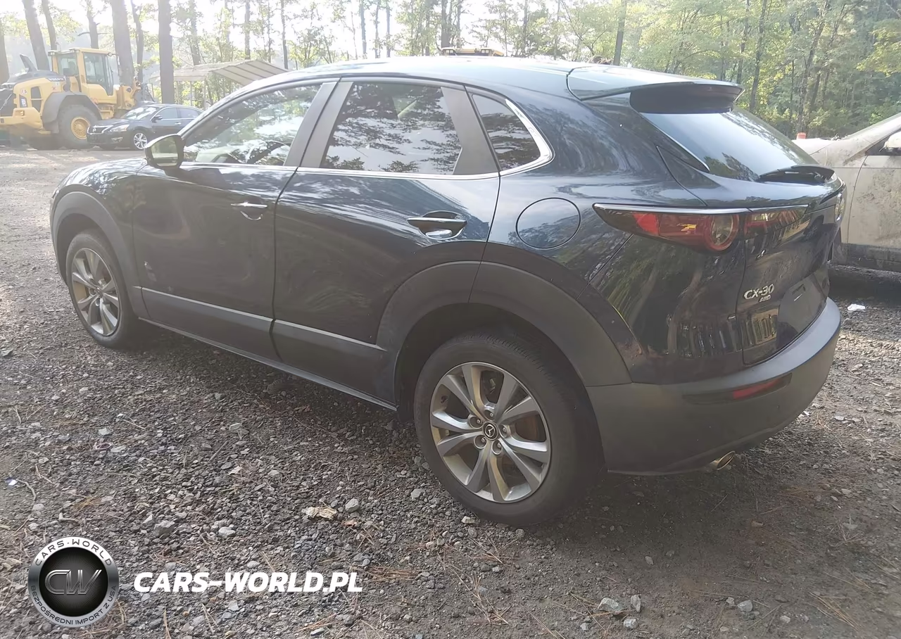 2021 Mazda Cx-30 Preferred VIN:3MVDMBCL0MM269477 - 3