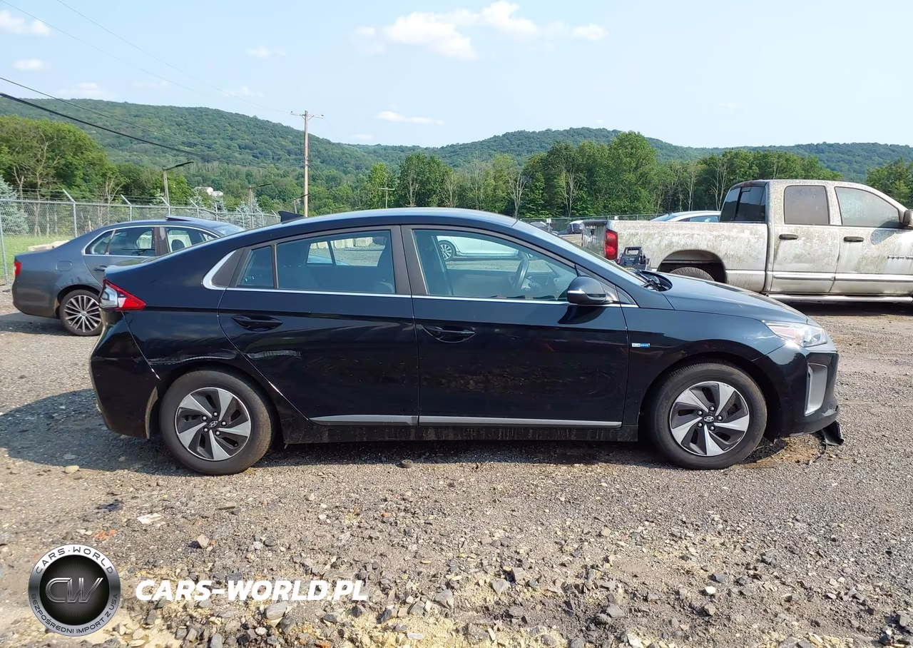 2019 Hyundai Ioniq Hybrid Sel VIN:KMHC75LC8KU134810 - 13