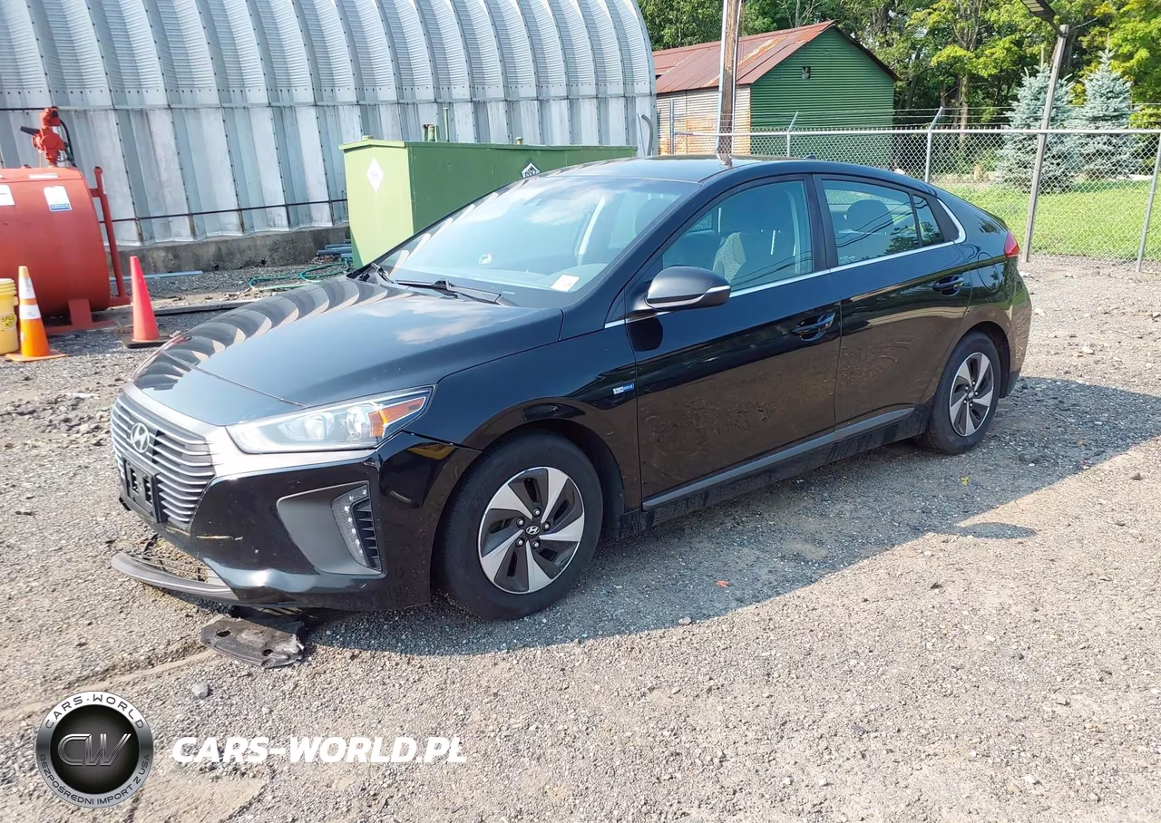 2019 Hyundai Ioniq Hybrid Sel VIN:KMHC75LC8KU134810 - 2