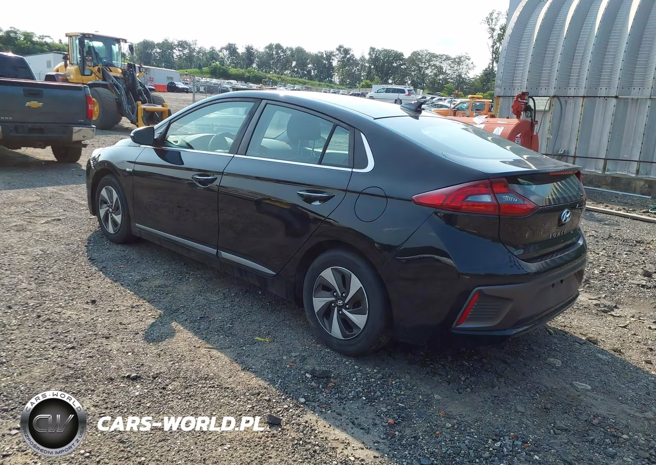 2019 Hyundai Ioniq Hybrid Sel VIN:KMHC75LC8KU134810 - 3
