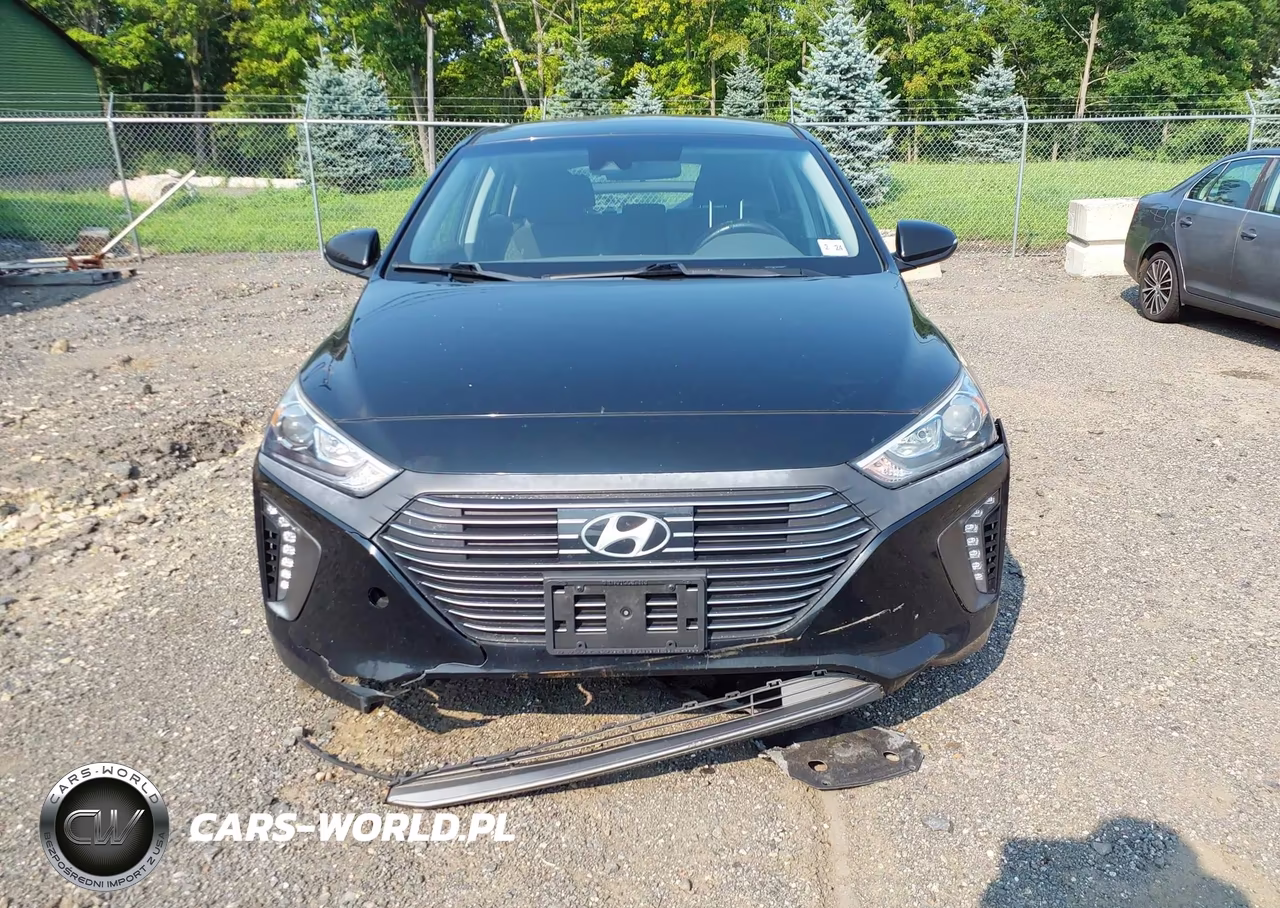2019 Hyundai Ioniq Hybrid Sel VIN:KMHC75LC8KU134810 - 6