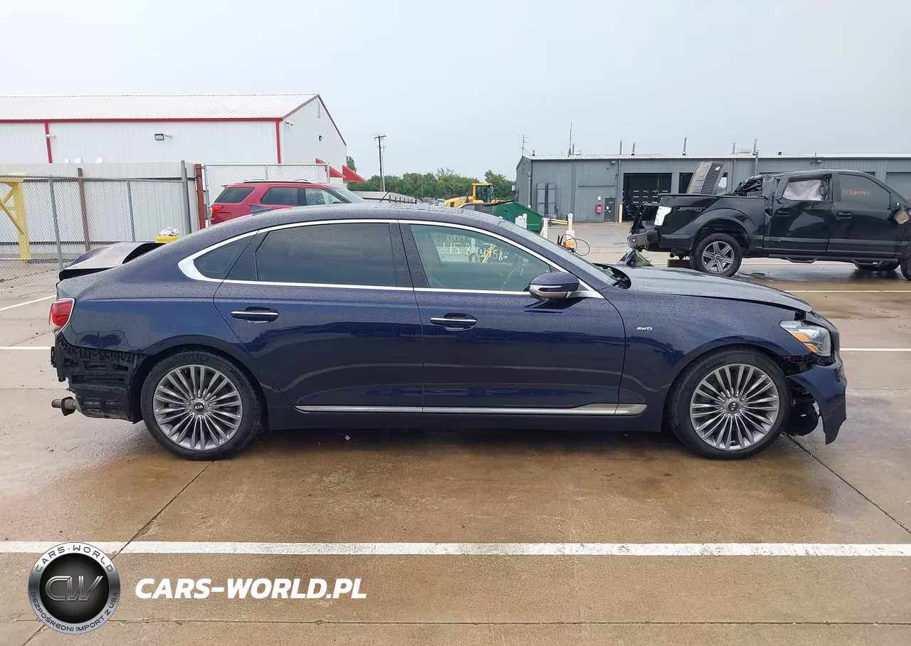 2019 Kia K900 Luxury VIN:KNAS34J64K6009470 - 13